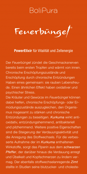 Feuerbüngel Flyer